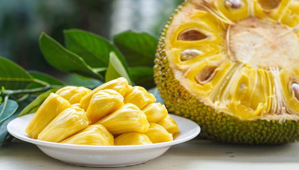 Jackfruit