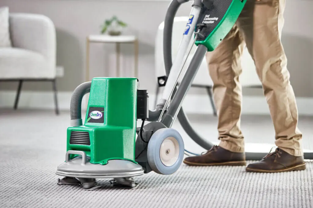 Carpet Cleaning Services: Our Recommendations for Small Apartments