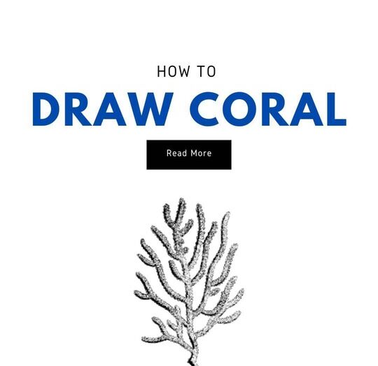 How to Draw Coral