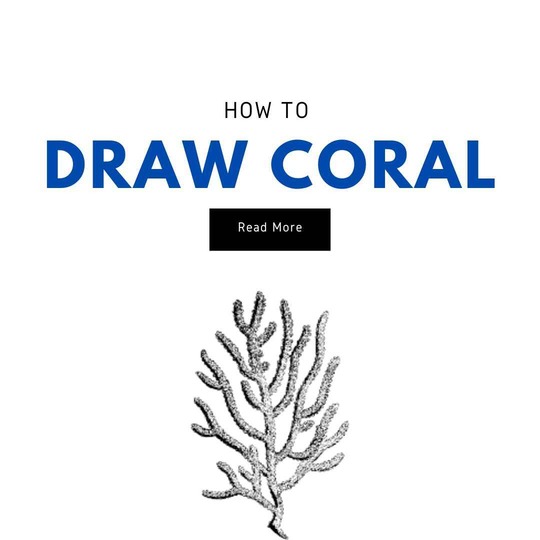 Draw Coral - A Bit by bit Guide