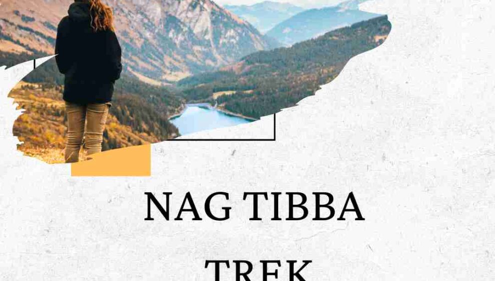 Nag Tibba Trek